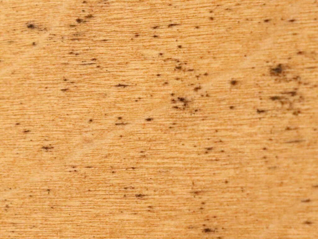 Ein Foto von Schimmel auf einer Holzplatte. Kleine schwarze Punkte ziehen sich durch das Material.