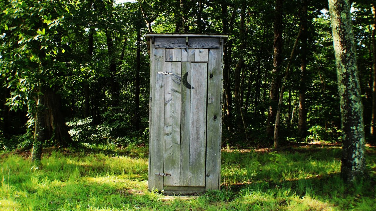 Eine Gartentoilette vor einer Baumreihe. Die Kabine besteht aus Holz und sieht wie ein altes Plumpsklo aus. In die Tür ist ein Halbmond geschnitten.